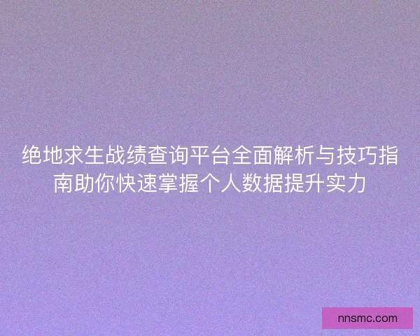 绝地求生战绩查询平台全面解析与技巧指南助你快速掌握个人数据提升实力